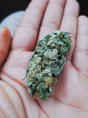 Photo of Greenlight Dispensary Independence