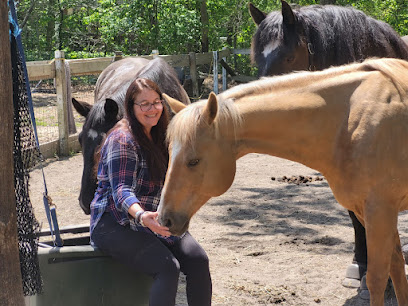 In The Herd Cape Cod