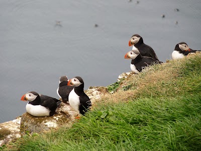 Photos of Island Papey