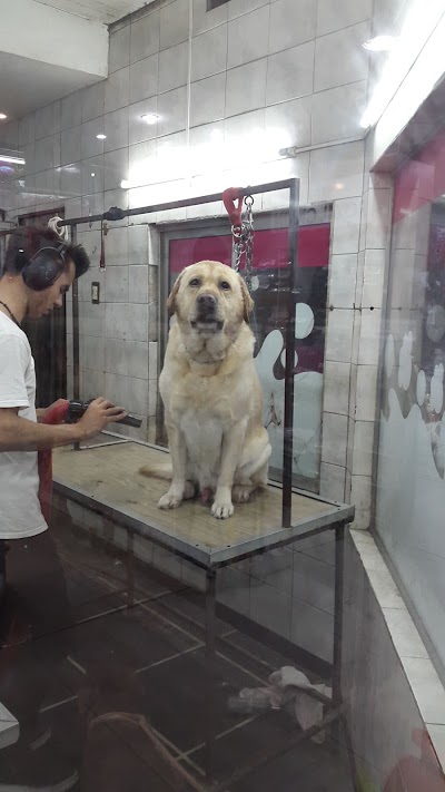 Photos of Veterinaria Randall