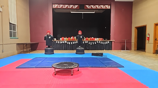 Lions Black Belt Academy Taekwondo - Thumbnail