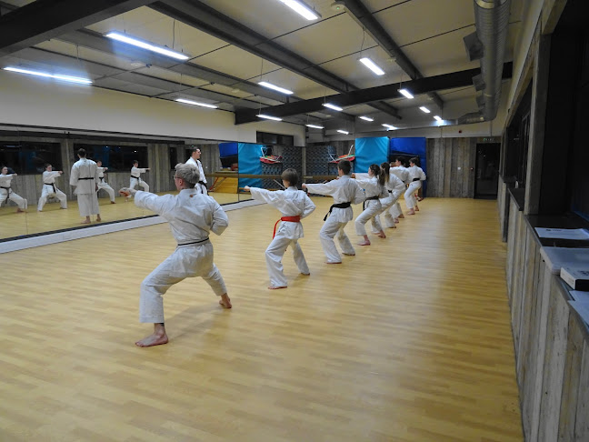 Comments and reviews of Club Des Sports