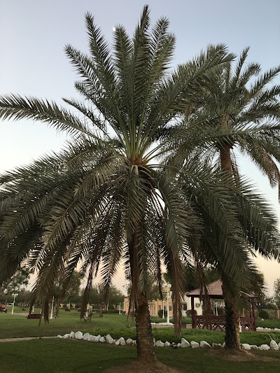 Photos of Abu Samrah Family Park