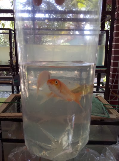 Photos of K.S.M Fish World
