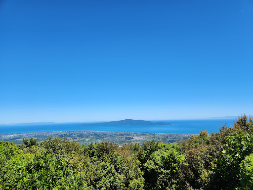Hemi Matenga Memorial Park