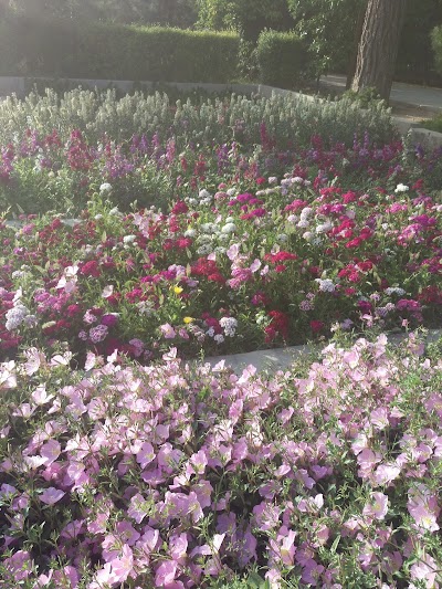 Photos of Eram Square