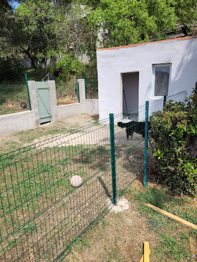 keepdog pension canine Gallery - France