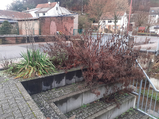 Steinalb-Gartenanlage - Thumbnail