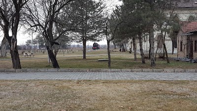 Photos of Milli M&uuml;cadele Ve Lozan M&uuml;zesi