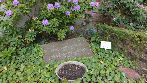 Grabstätte Max Pechstein - Visual
