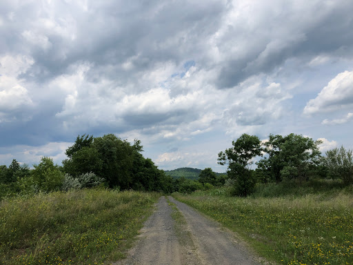 Little Indian Creek Wildlife Management Area - Thumbnail