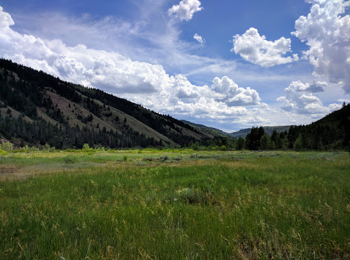 Allred Flat Campground Gallery - United States