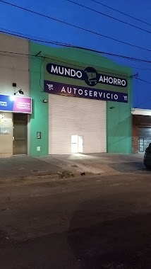 Mundo Ahorro, Author: Javier De Pueblo En Pueblo