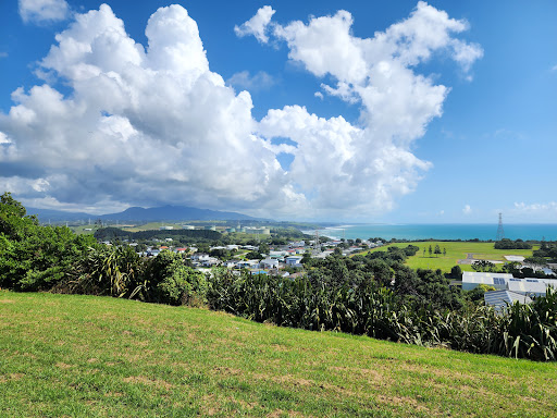 Mount Moturoa Domain - Thumbnail
