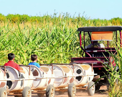 Foto de Vertuccio Farms