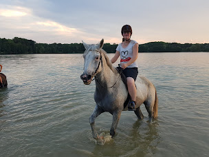 Photo n°5 de EARL Haras de Cîteaux-Ecurie du petit bonheur à Saint-Nicolas-lès-Cîteaux (Centre équestre)