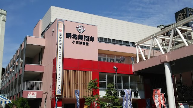 Tsukiji Market