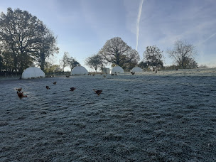 Photo n°27 de Les volailles d'Angèle GAEC Chabrely à Saint-Paul (Éleveur)