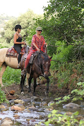 Photo n°26 de La Tribu de Philia Centre de mediation equine à Monticello (Centre de coaching)