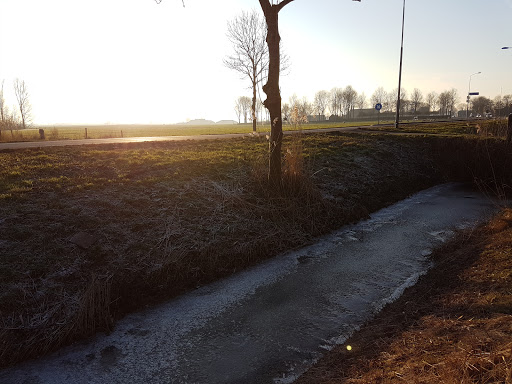 Zorgverbeteraars - Visual