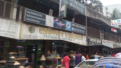 Photos of Fish Aquarium