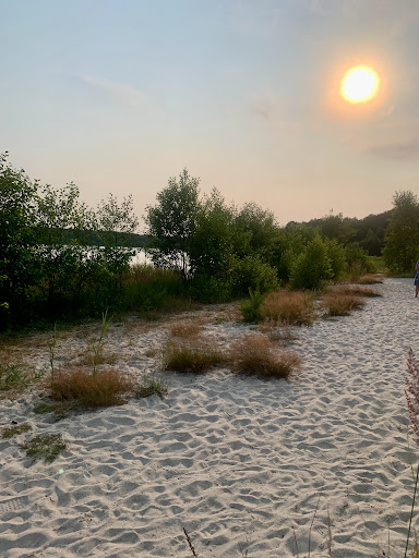 Großsee - Visual