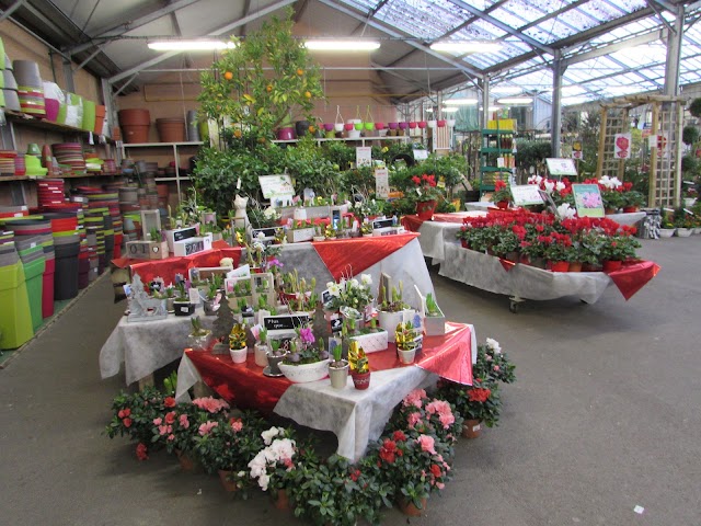 Jardinerie Tarnaise Albi