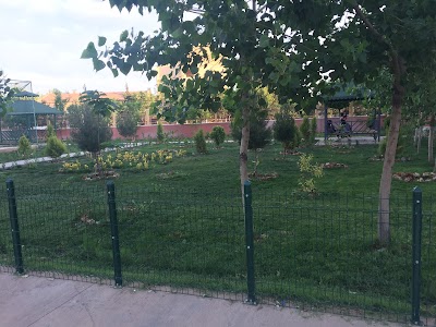 Photos of Nizip Social Sciences High School