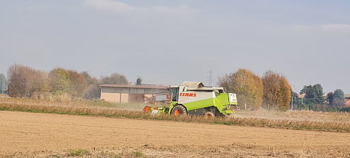 Azienda Agricola Florovivaistica Corbella - Thumbnail