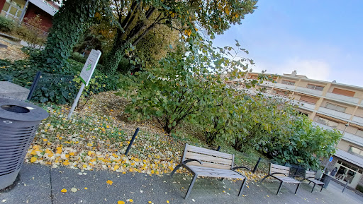 Fruits à partager - Thumbnail