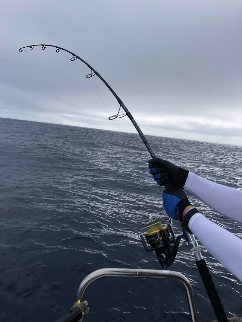 ハローズフィッシング