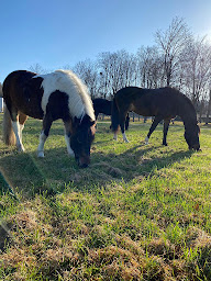 Photo n°6 de Mairie de Saint-Pierre-lès-Nemours à Saint-Pierre-lès-Nemours (Hôtel de ville)