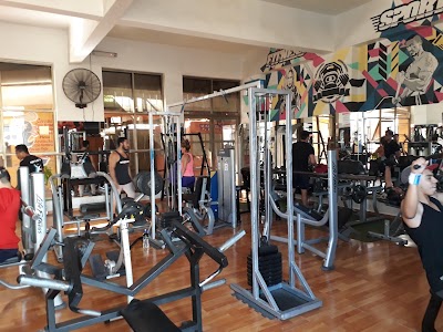 Photos of Fitness Sport