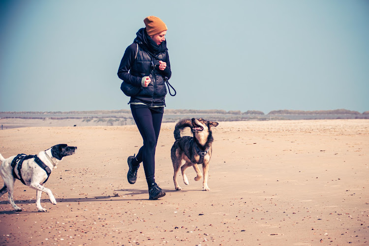 Team Schnauze Bonn - Mobiles Mensch- und Hundecoaching