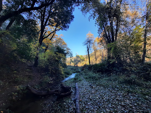 Mill Creek Park Ridge Trailhead - Thumbnail