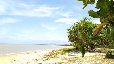 Photos of Kawasan RTH Desa Terentang