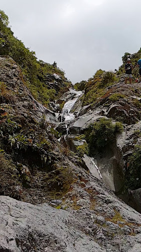 Dawson Falls Phone number