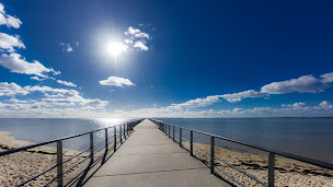 Photo n°13 de Pleine Forêt à Andernos-les-Bains (Location de cottage)