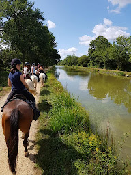 Photo n°12 de La Vaillantière à La Chapelle-sur-Erdre (Centre équestre)