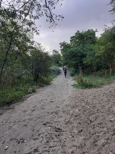 Uitkijkpunt Westduinpark - Thumbnail