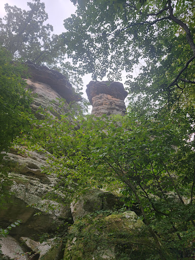 Devil's stand table - United States
