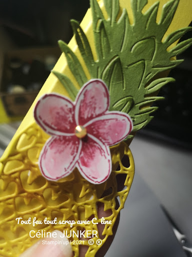 Tout feu tout Scrap avec C.line - Thumbnail