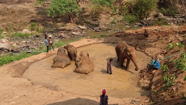 Elephant Jungle Sanctuary