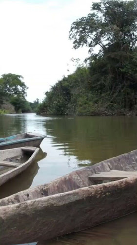 Comentarii opinii despre Nachitostours