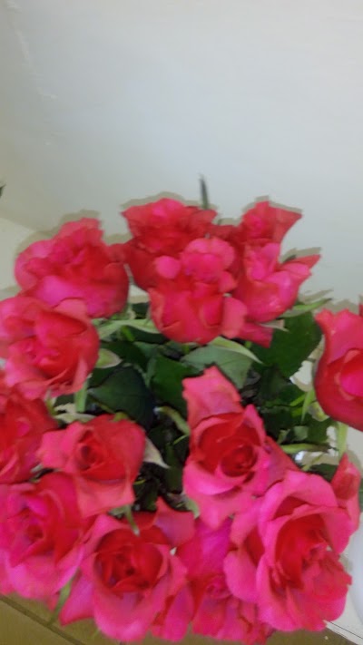 Photos of Ravine Karen Roses