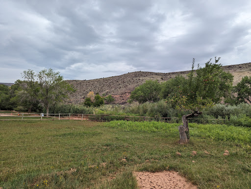 Fruita Barn - Visual