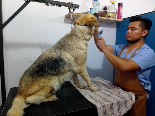 Consultorio veterinario CORBAN