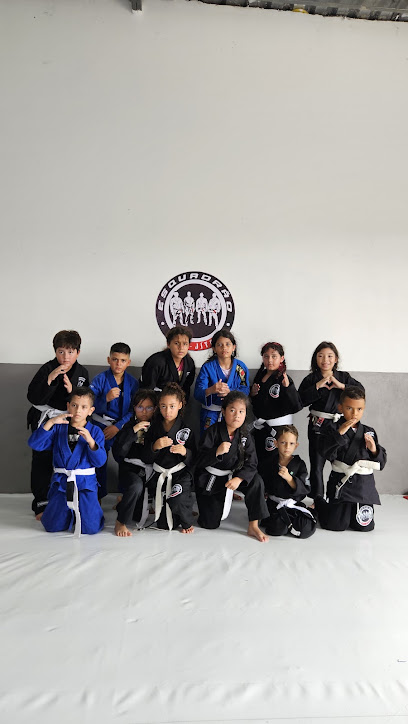 Academia Esquadrão jiu jitsu