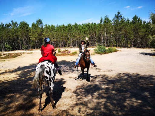 Destinations Cheval - Thumbnail