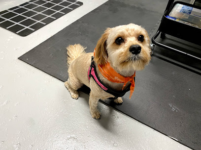 Pet Envy Grooming Studio